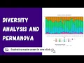 RAISINS Diversity Analysis and PERMANOVA Quick Tutorial Statoberry