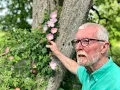 Download Lagu Dog Rose with John Feehan in May, Wildflower of Offaly Series