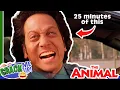 Download Lagu ROB SCHNEIDER being an ANIMAL for 25 minutes | The Animal Compilation