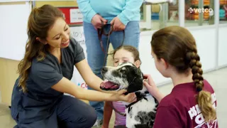 Petco Veterinary Services Petco