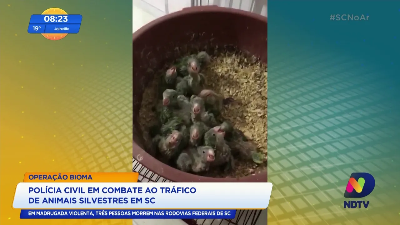 Operação Bioma: Polícia Civil em combate ao tráfico de animais silvestres, em Santa Catarina