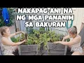 Download Lagu ANDAMI  NG  BUNGA NA NAANI NAMIN I  FINLAND FAMILY VLOG I THAI-FINNISH PERO PUSONG PINAY 