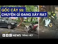 GOC CAY SO 55 VI SAO VU TAI NAN HON MOT NAM TRUOC GAY PHAN NO