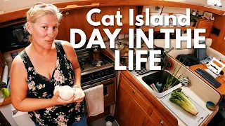 Day in the Life, Cat Island Sailing, Just SO EASY – Ep.166.3