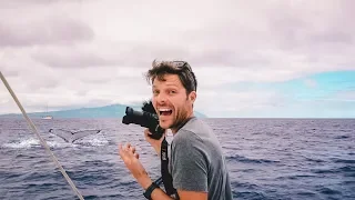 Sailing Tahiti, Iron Wind & WHALES || Cost & Fuel Economy of a Catamaran Sailboat