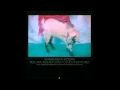 Download Lagu A Hawk And A Hacksaw - Wedding Theme (Ukraine)