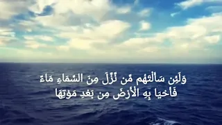  ولئن سألتهم من نز ل من السماء ماء فأحيا به الارض من بعد موتها ليقولن الله  القارئ عبد الرحمن مسعد دندنها