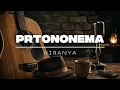 Protonema - Kiranya | Cover Acoustic Blues