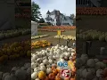 Twin Cities Live Eveland Family Farm in Andover