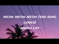 Lagu Sad Cat Song – Meow Meow Meow (TikTok Viral) | Emotional Meme Music + Lyrics