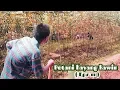 Download Lagu Petani hayang kawin [Eps11] PJS maling dangder