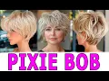 BEST PIXIE BOB HAIRCUT IDEAS for everyone