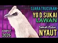 Lagu Suara Trucukan TERBAIK YG D SUKAI LAWAN SEKALI PUTAR SEMUA TRUCUKAN NYAUT MENYAMBAR ‼️
