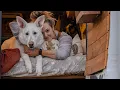 Van Life Q A Akela s Story Dating Some Advice