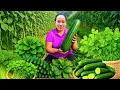 Download Lagu Panen Sayuran Segar di Kebun – Ketumbar, Mentimun \u0026 Bayam Malabar untuk Dijual di Pasar Desa