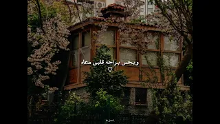 ولا يملي عنيا الا حبيبي       عمرو دياب  دندنها