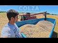 Download Lagu Encore compliqué le colza, la moisson - 2025