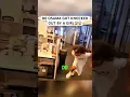 DD OSAMA GOT KNOCKED OUT BY A GIRL