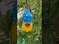 Download Lagu DIY Bird Home #shorts #youtubeshorts #diy #birdhome #bestoutofwaste #birds #nature
