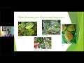 Roses for Beginners