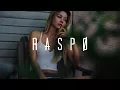 Kygo - Stay ft. Maty Noyes (Raspo Remix)
