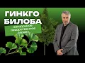 Download Lagu Гинкго билоба: загадочное лекарственное дерево
