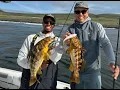 Fishing San Clemente Island for calico bass winter 2025