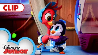 Download Baby Fliers | T.O.T.S. | @disneyjunior MP3