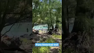 Hiking on the island is Hawaii. The Puna Historical Trail.  #hike #hiking #adventure #hawaii