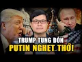 Download Lagu Nguyên Nhân Nào Khiến Ông Trump Gọi Thẳng Putin Là “Hổ Giấy”, Tuyến Bố Ukraine Sẽ Lấy Lại Lãnh Thổ?