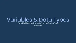 Variables Data Types Lecture 3 Web Point