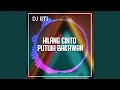 Download Lagu HILANG CINTO PUTUIH BAKAWAN