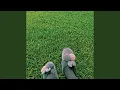 Download Lagu touch grass