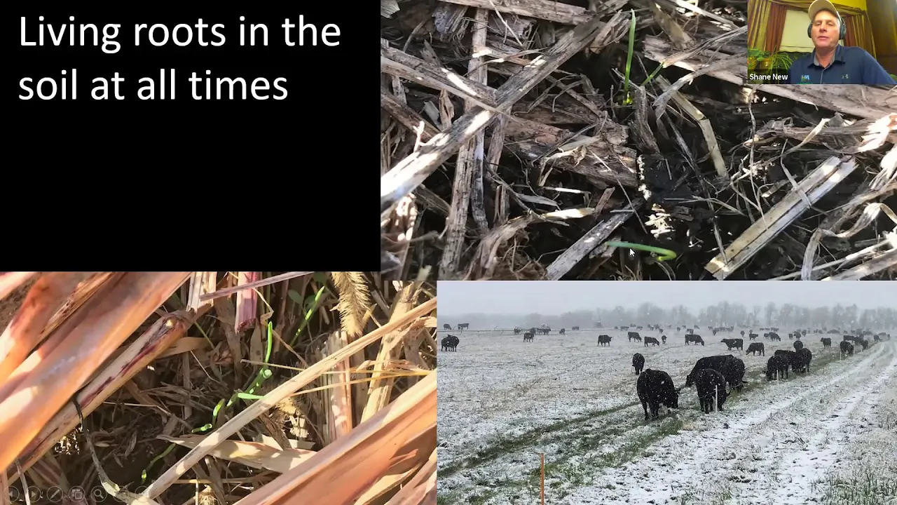 Understanding and Interpreting Soil Tests 1 12 21