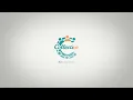 CollectiVE Introduction