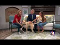 ABC Good Things Utah - A family-friendly event giving people a new leash on life