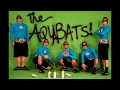 The Aquabats! - The Wild Sea
