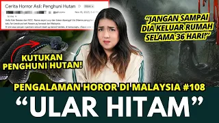KUTUKAN ULAR HITAM | #NERROR CERITA HOROR #108