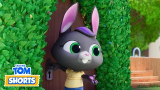 The Mystery Door 😮🔒 Talking Tom Shorts | LIVE Cartoons for Kids