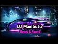 Download Lagu DJ Mambutu ( Slowed \u0026 Reverb ) 🎧