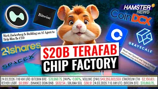 CoinDCX founders arrested, Zuckerberg's AI CEO agent, Elon Musk's Terafab ⚡️ Hamster News