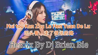 hui tou kan zou le hen yuan de lu electro manyao by dj brian bie manyaoremix dj