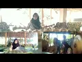 Download Lagu KETAWANG MIJIL WIGARINGTYAS PL 6