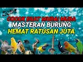 Download Lagu Kompilasi MASTERAN PALING AMPUH MUDAH DITIRU PASS UNTUK BURUNG FIGHTER‼️
