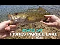 NORCAL LIFE fishes Pardee Lake CA BASS FISHING