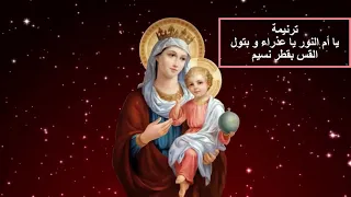 ترنيمة يا أم النور يا عذراء و بتول     القس بقطر نسيم دندنها