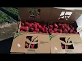 Live From the Fields Oxnard Strawberries