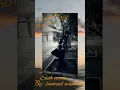 Download Lagu Sioh nona . by samuel wanma