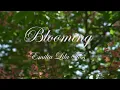 Download Lagu Emilia Lila Tess - Blooming (Official Music Video)