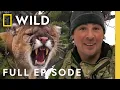Stalking the Mountain Lion Full Episode America the Wild Nat Geo Animals